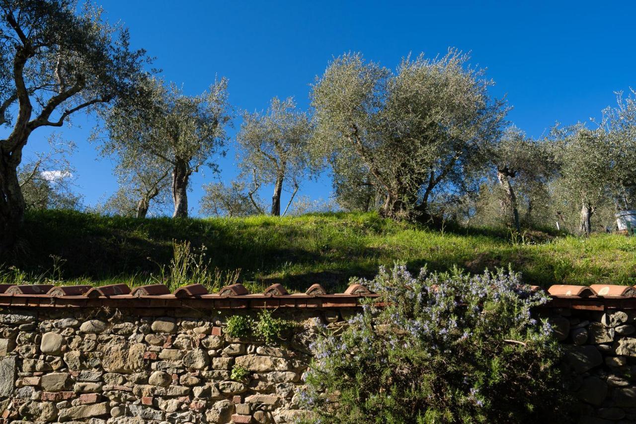 Alloggi In Villa Storica Pescia Exterior foto