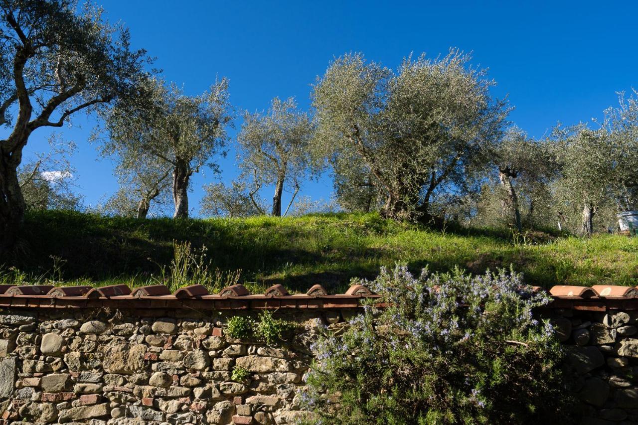 Villa Colle Olivi Pescia Exterior foto